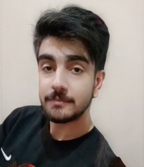 سینا ابارشی
